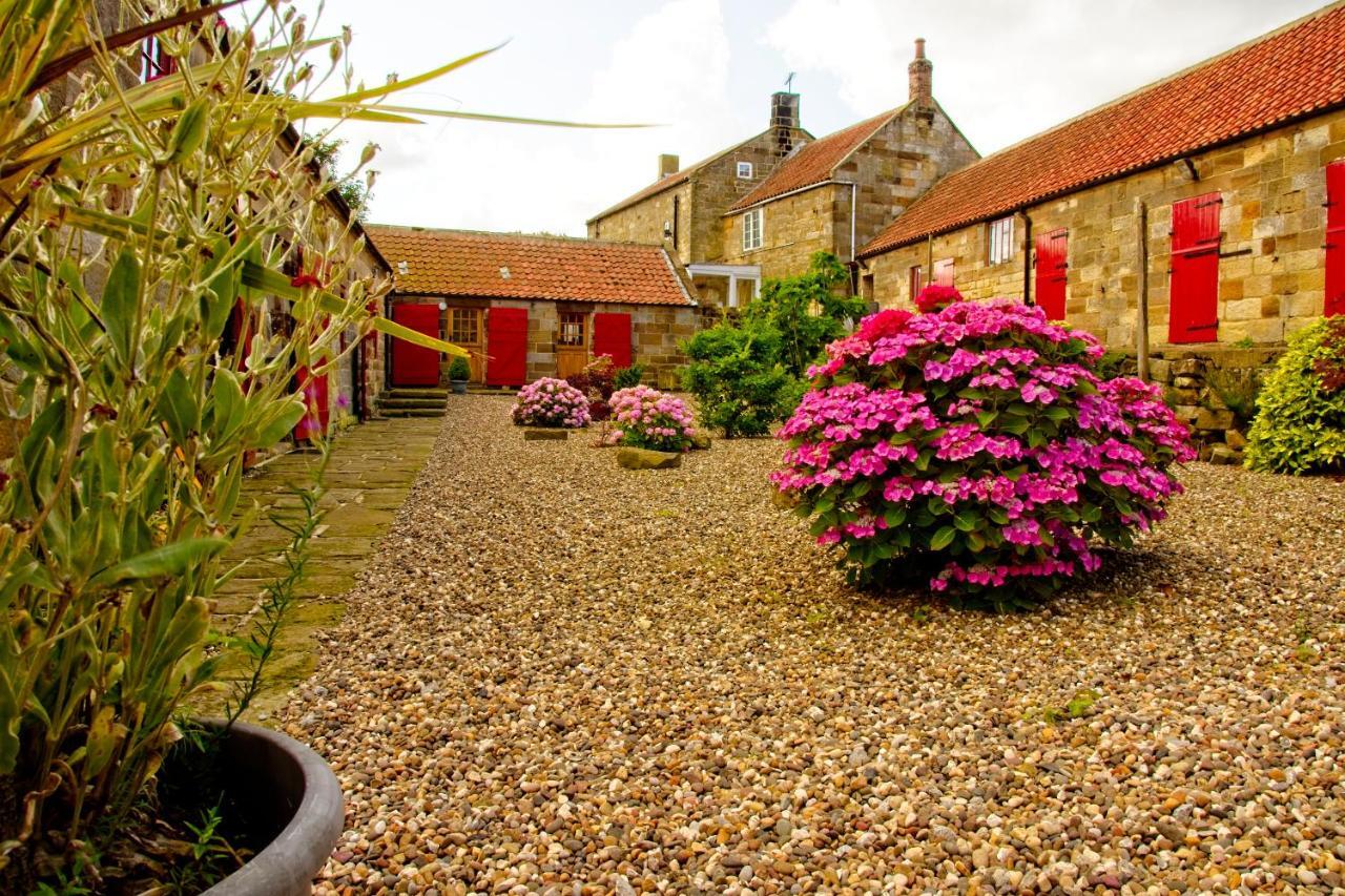Rosecombe, Borrowby Farm Cottages Staithes Exterior foto